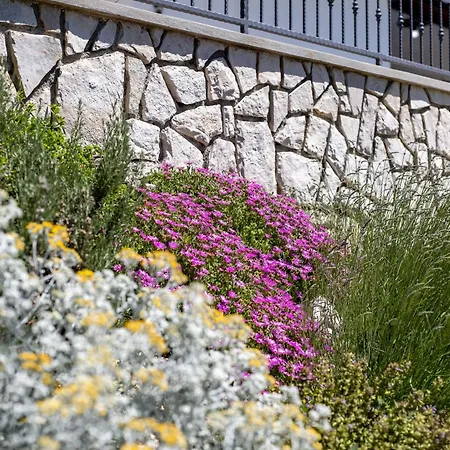 Vila Simici Quiet Peaceful Place With Pool Perfect To Enjoy The Nature Moscenicka Draga