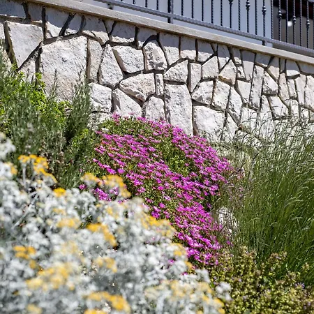 Villa Simici Quiet Peaceful Place With Pool Perfect To Enjoy The Nature Mošćenička Draga